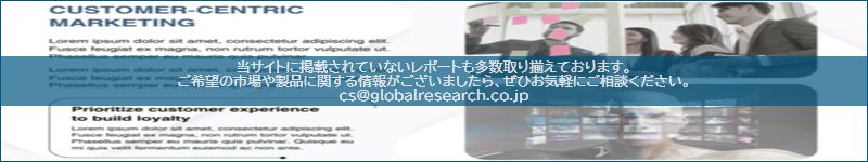 市場調査レポートのイメージ