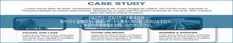 市場調査レポートのイメージ