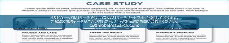 市場調査レポートのイメージ
