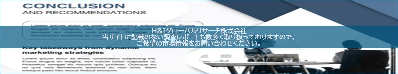 市場調査レポートのイメージ