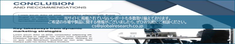 市場調査レポートのイメージ