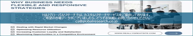 市場調査レポートのイメージ
