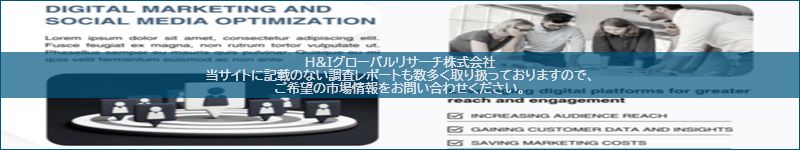 市場調査レポートのイメージ