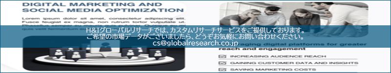 市場調査レポートのイメージ