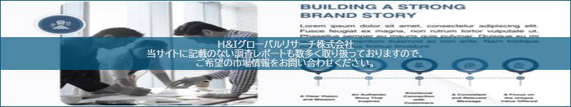 市場調査レポートのイメージ