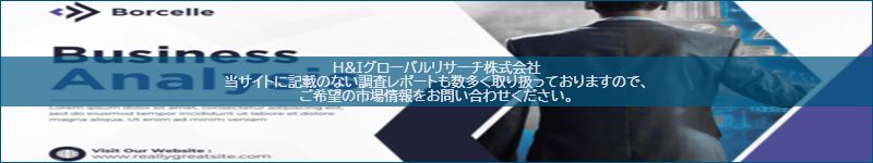 市場調査レポートのイメージ