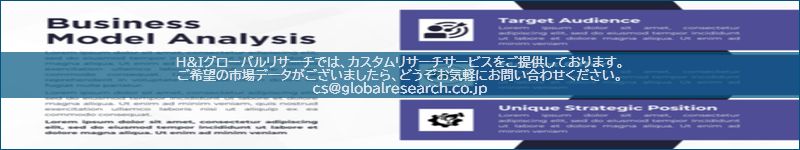 市場調査レポートのイメージ