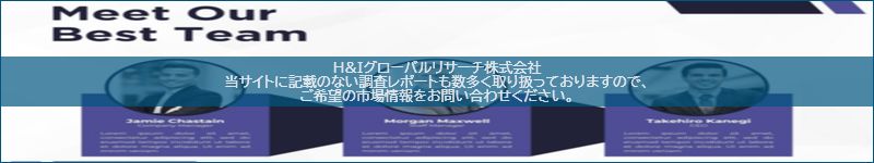 市場調査レポートのイメージ