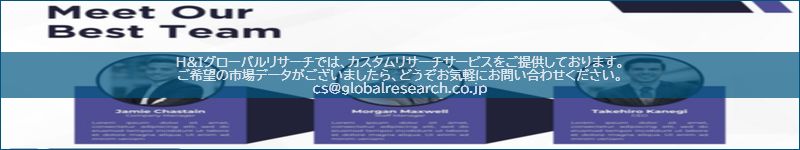市場調査レポートのイメージ