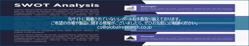 市場調査レポートのイメージ