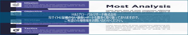 市場調査レポートのイメージ