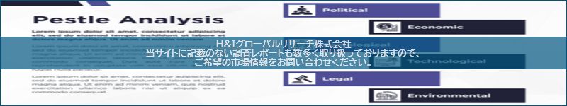 市場調査レポートのイメージ