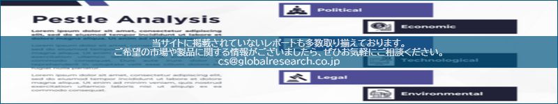 市場調査レポートのイメージ