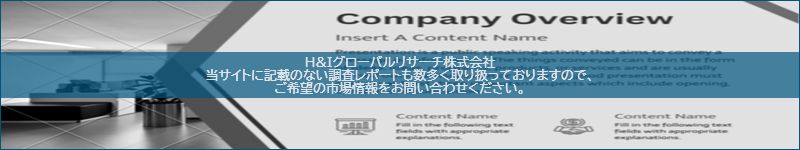 市場調査レポートのイメージ
