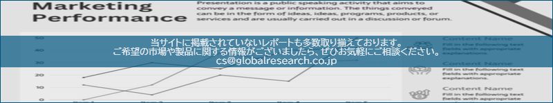 市場調査レポートのイメージ