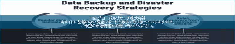市場調査レポートのイメージ