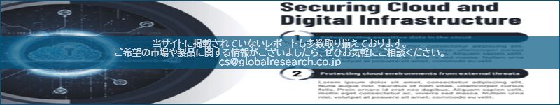 市場調査レポートのイメージ