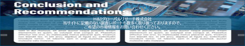 市場調査レポートのイメージ