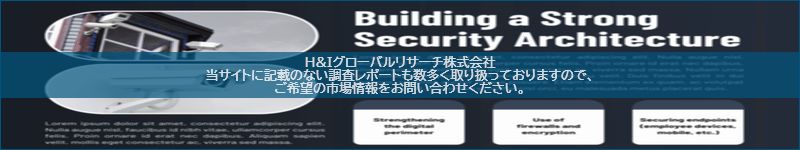 市場調査レポートのイメージ