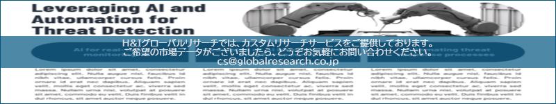 市場調査レポートのイメージ