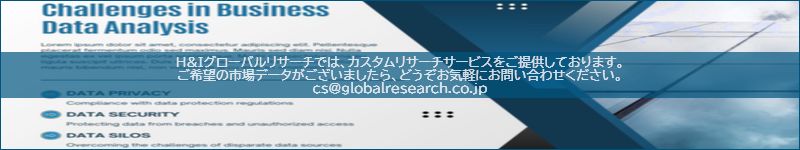 市場調査レポートのイメージ