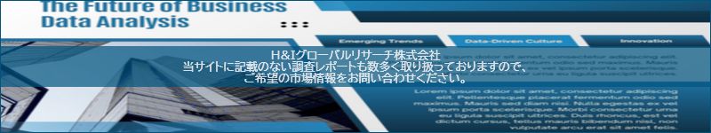 市場調査レポートのイメージ
