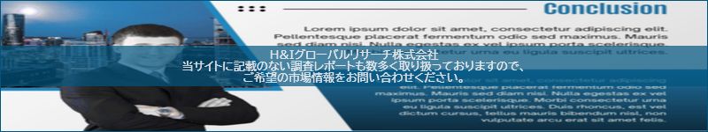 市場調査レポートのイメージ