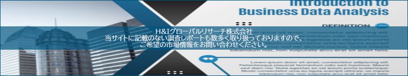 市場調査レポートのイメージ