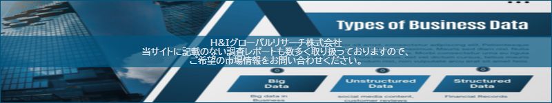 市場調査レポートのイメージ
