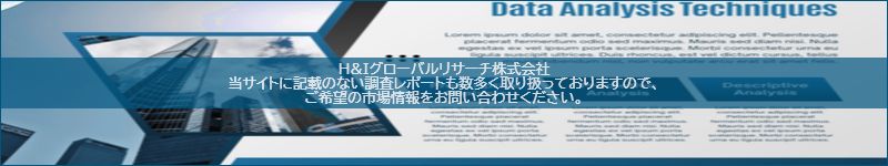 市場調査レポートのイメージ