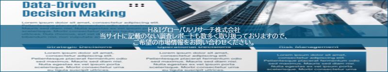 市場調査レポートのイメージ