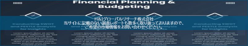 市場調査レポートのイメージ