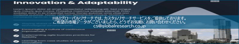 市場調査レポートのイメージ