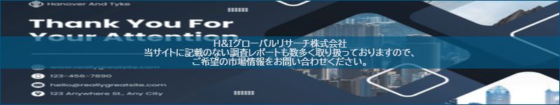 市場調査レポートのイメージ