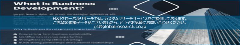 市場調査レポートのイメージ