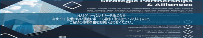 市場調査レポートのイメージ