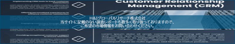 市場調査レポートのイメージ