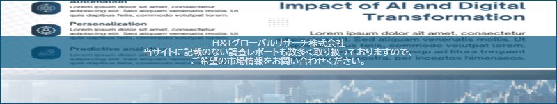 市場調査レポートのイメージ
