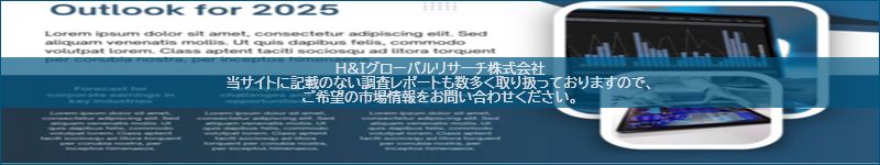 市場調査レポートのイメージ