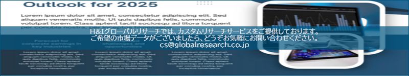 市場調査レポートのイメージ