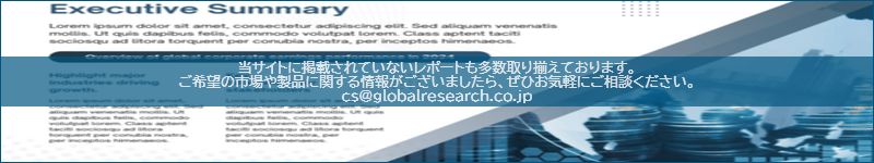 市場調査レポートのイメージ