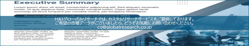 市場調査レポートのイメージ