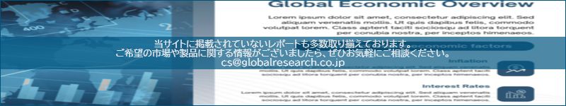 市場調査レポートのイメージ