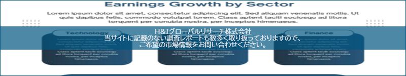 市場調査レポートのイメージ