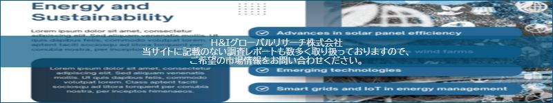 市場調査レポートのイメージ