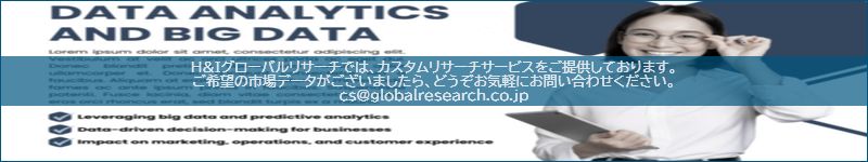 市場調査レポートのイメージ