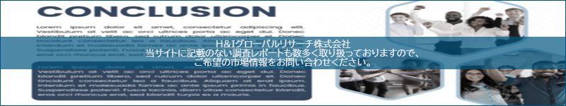 市場調査レポートのイメージ