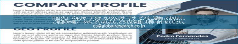 市場調査レポートのイメージ