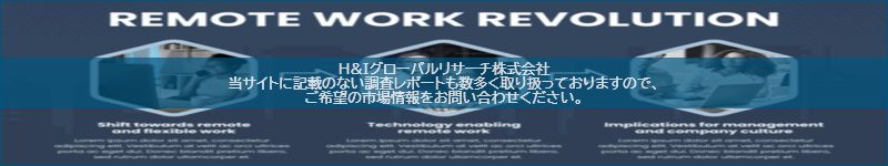 市場調査レポートのイメージ