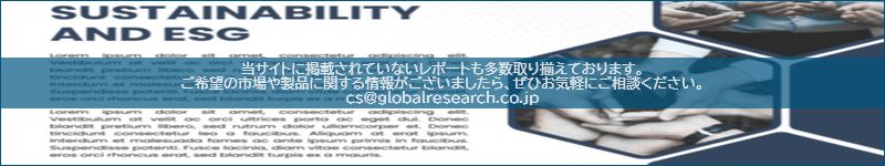 市場調査レポートのイメージ